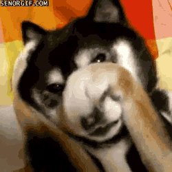 gifs 01