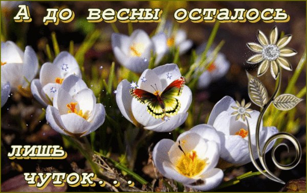 file_76715312