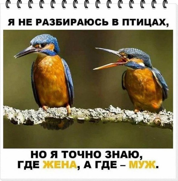 IMG 20190104 230754