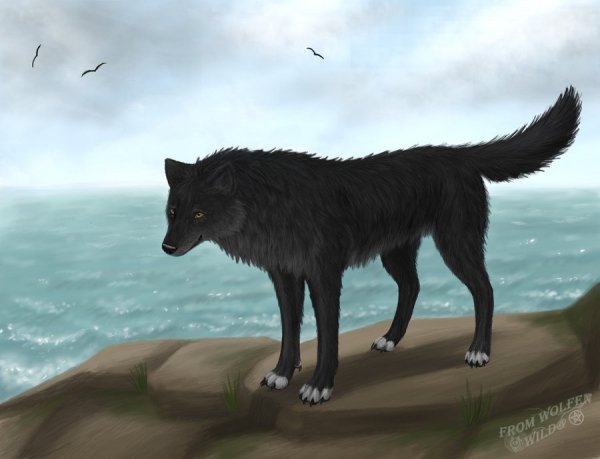 breeze by wida smashing-d33l9la