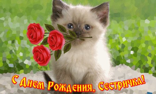 S-dnem-rozhdeniya-sestry-10