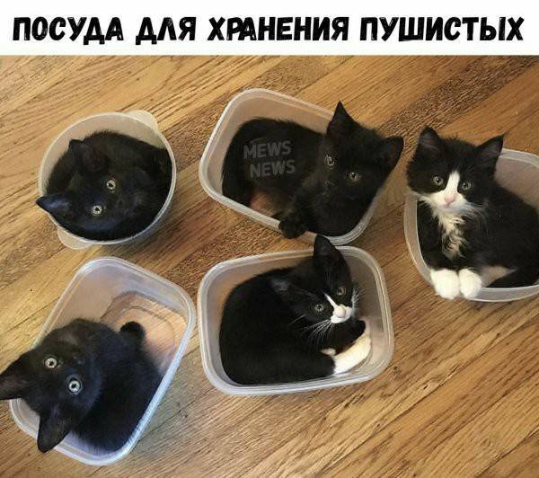 file_88355799