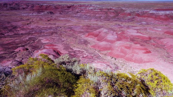 Lock2023-b45 wl painteddesertarizona gettyimages 1920x1080
