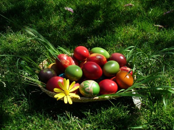 easter-eggs-grass p