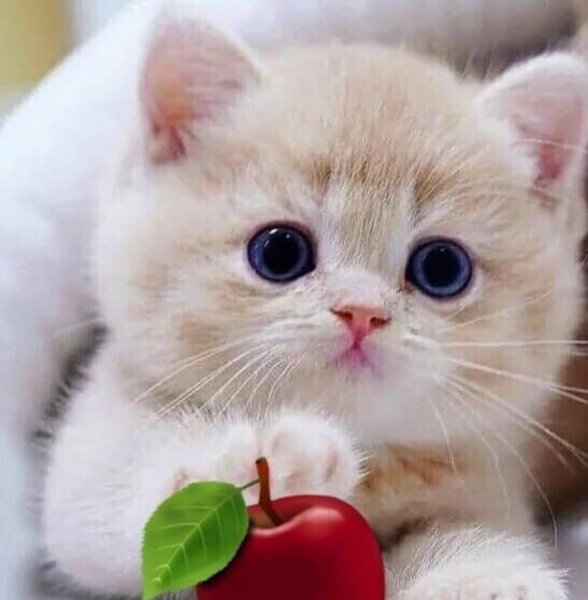 IMG 20211101 162546-