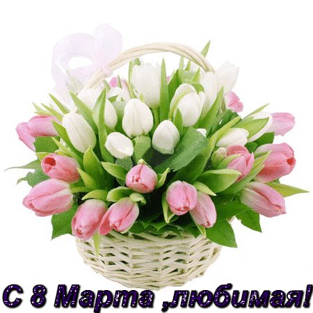 bloggif 54f2f4905eb3b