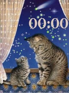 cats night animation