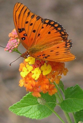 file_90258930
