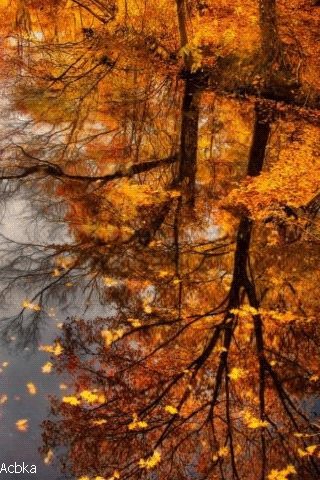 file_75173699