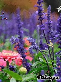 file_57859100