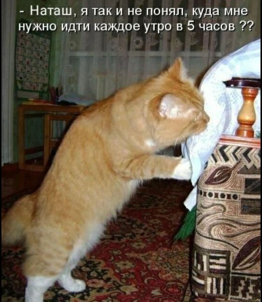 FB IMG 1776447339341