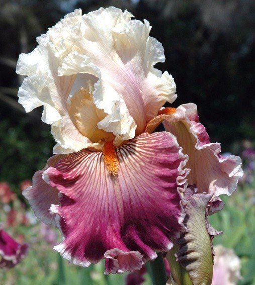 09