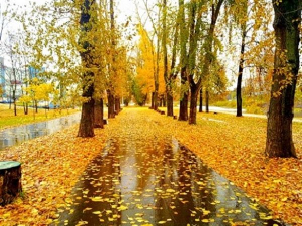 Осень
