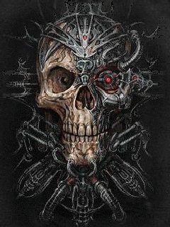 Skull58240x320