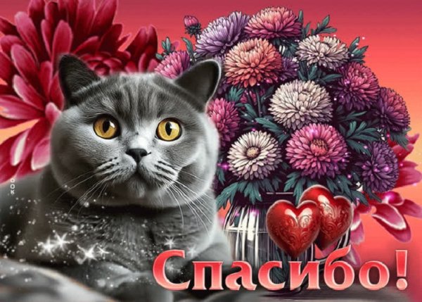 Спасибо!
