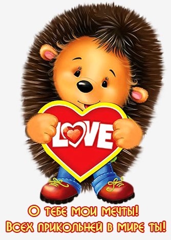 0 d0cbd ed099959 orig