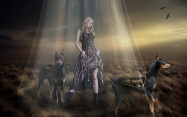 Wallpapers 1495