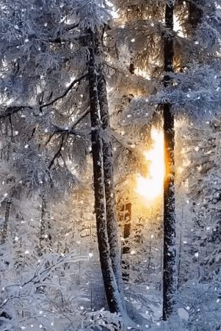 file_89432729