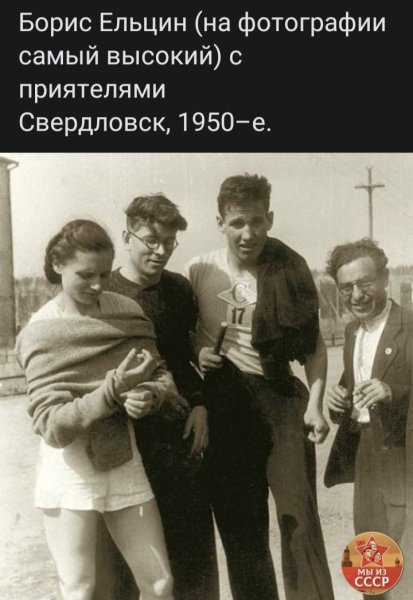 file_95509211