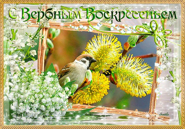 Анимированная открытка с вербным воскресеньем (12)