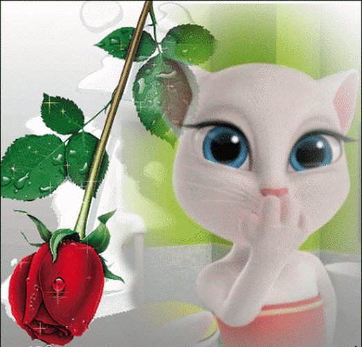 Doc520673694 522864257