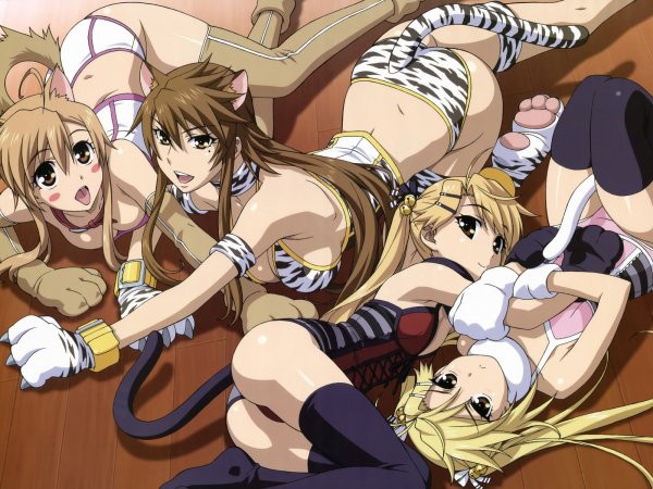 Nyan Koi-кошачьи прихоти-аниме