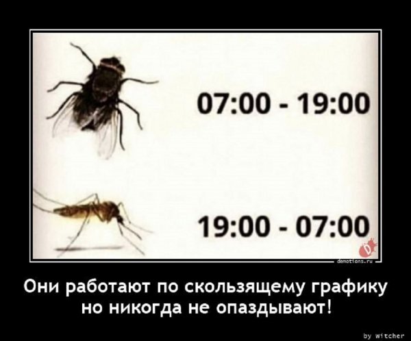 Работают по скользящему графику