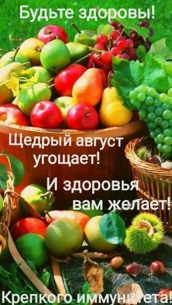 IMG-20250801-WA0010