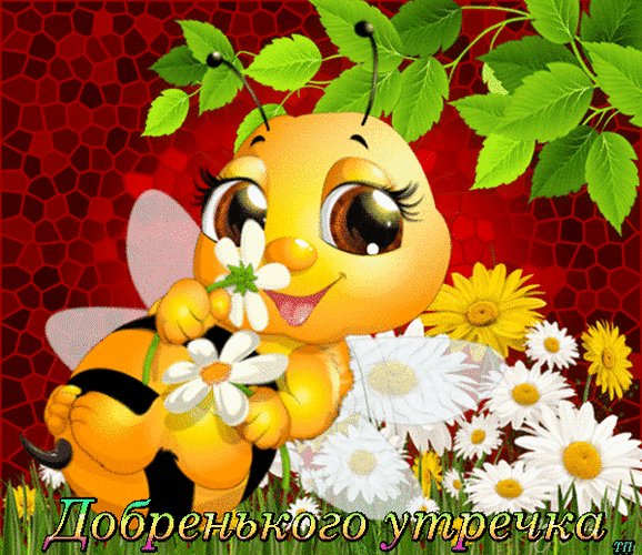 file_81780495
