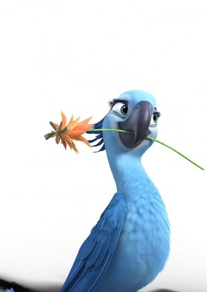 8c8f0d0d9b02b658e02c4909d26080cf