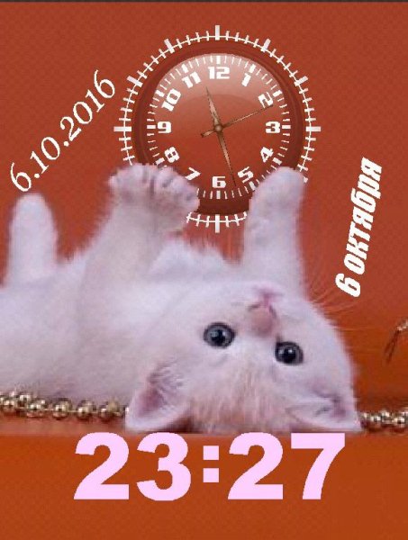 Котенок