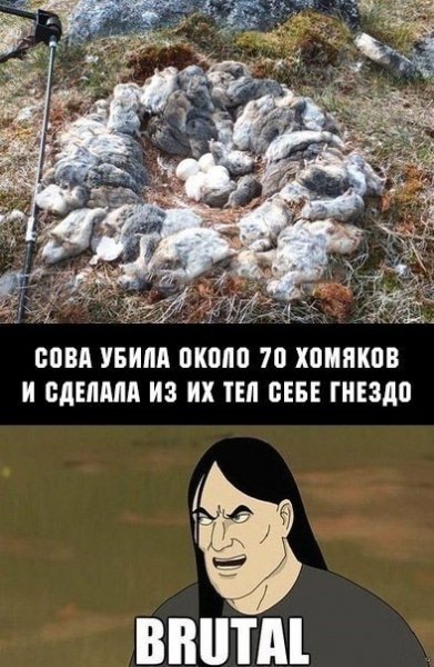 file_101470955
