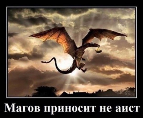 file_101195995