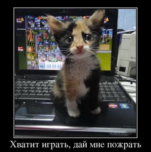 Хватит играть, дай мне пожрать