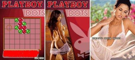 playboydots 240x320