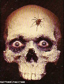 Scull