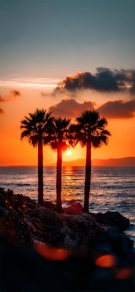 IMG 20260213 165048 327