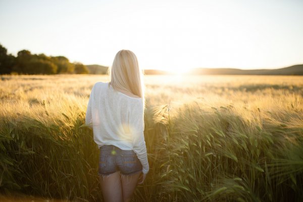 Field-outdoor-4k
