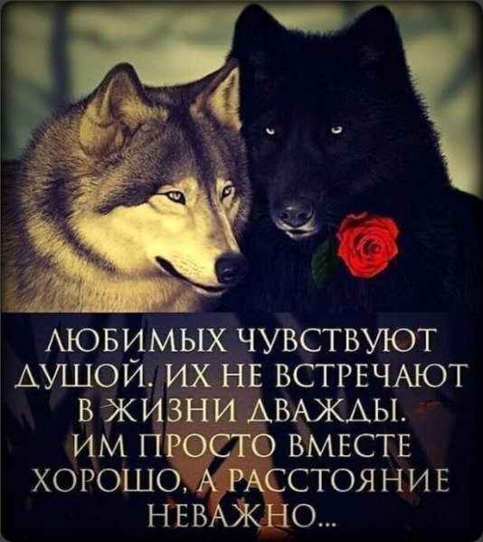 Любимых чувствуют душой