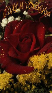 tmp IMG 00451204487388