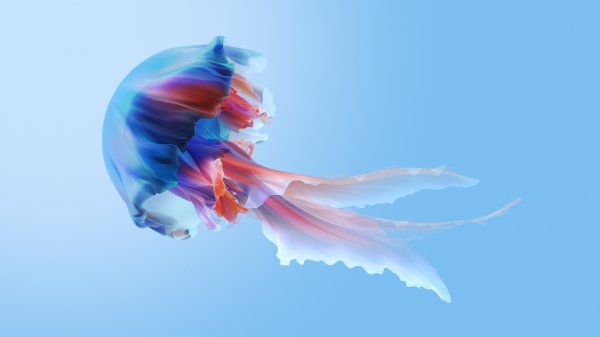 03-10-jellyfish-xiaomi-tv