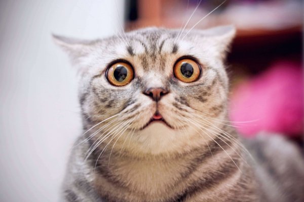 Shutterstock 794782192