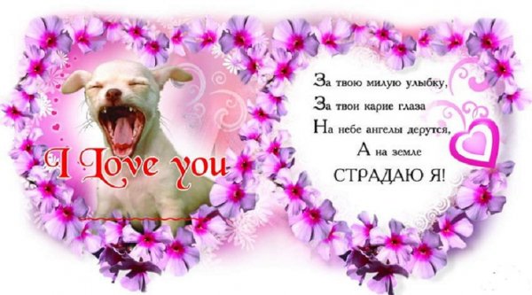 С днём Святого Валентина. 5с.