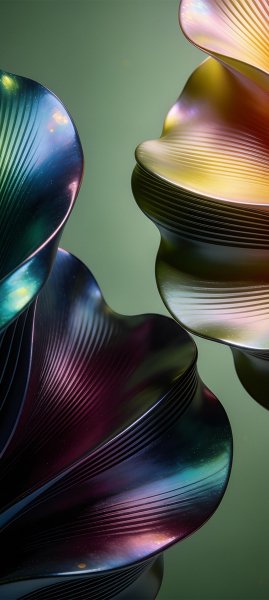 adapted 1080x2408 1776491379