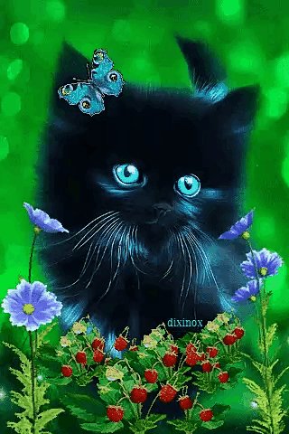 video2gif 20200726 212122
