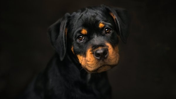 cropped-1920-1080-846701