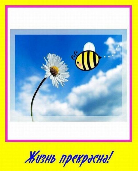 Жизнь прекрасна!