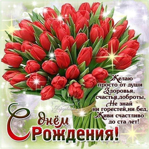IMG 20190117 480794