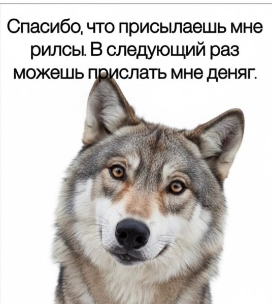 IMG-20251209-WA0008