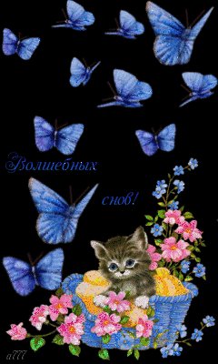 file_49107142